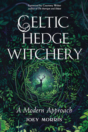 Celtic Hedge Witchery-A Modern Approach Joey Morris 9781578638673