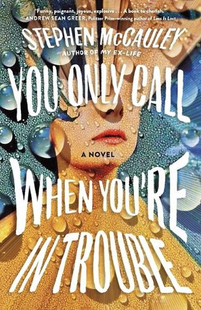 You Only Call When You're in Trouble Stephen McCauley 9781250296818