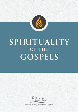 Spirituality of the Gospels Patrick J Hartin 9780814669273