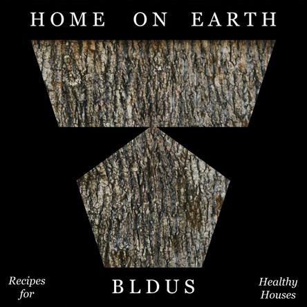 Home on Earth: Recipes for Healthy Housing Bldus 9781961856516