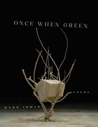 Once When Green Mark Irwin 9781625348654