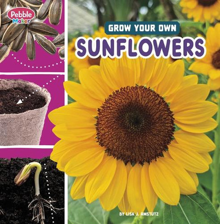 Grow Your Own Sunflowers by Lisa J Amstutz 9780756589653