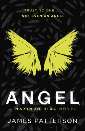 Maximum Ride: Angel by James Patterson