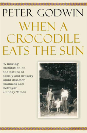When A Crocodile Eats the Sun by Peter Godwin 9780330448185 [USED COPY]