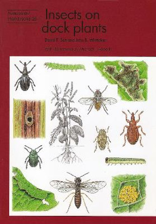 Insects on dock plants by David T. Salt