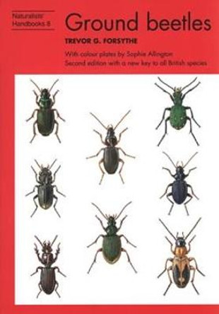 Ground beetles by Trevor G. Forsythe