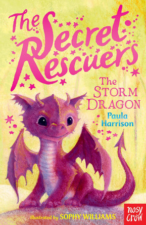 The Secret Rescuers: The Storm Dragon by Paula Harrison