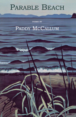 Parable Beach by Paddy McCallum 9780888784124