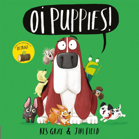 Oi Puppies! by Kes Gray 9781444937367 [USED COPY]