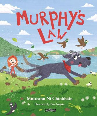 Murphy's Law by Muireann ni Chiobhain