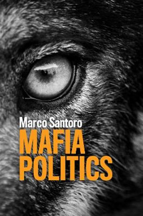 Mafia Politics by Marco Santoro