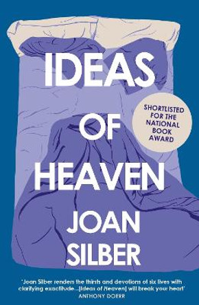 Ideas of Heaven by Joan Silber