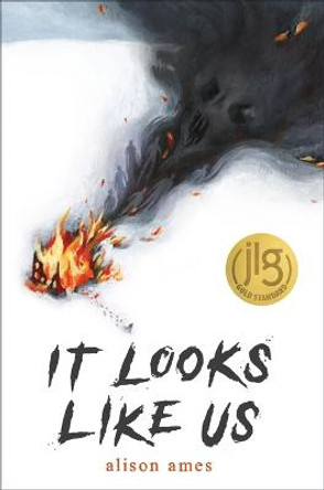 It Looks Like Us by Alison Ames