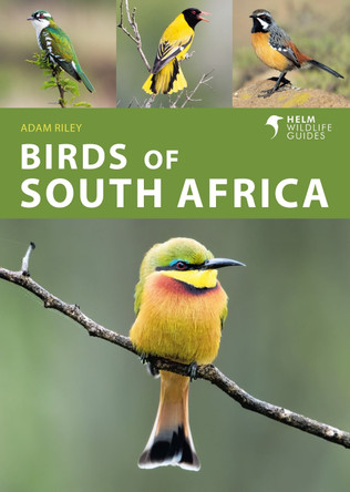 Birds of South Africa by Adam Riley