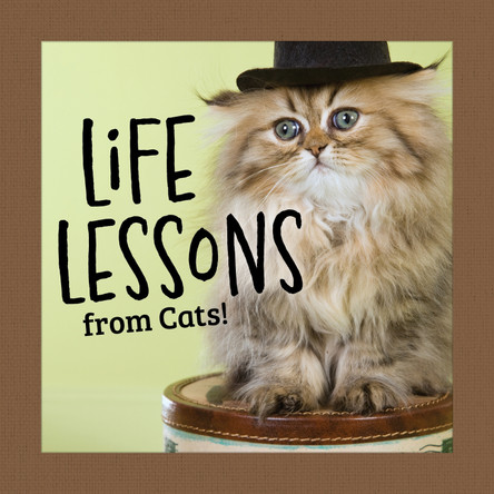 Life Lessons from Cats Grace Peterson 9781497105591