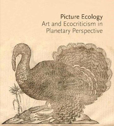 Picture Ecology: Art and Ecocriticism in Planetary Perspective by Karl Kusserow
