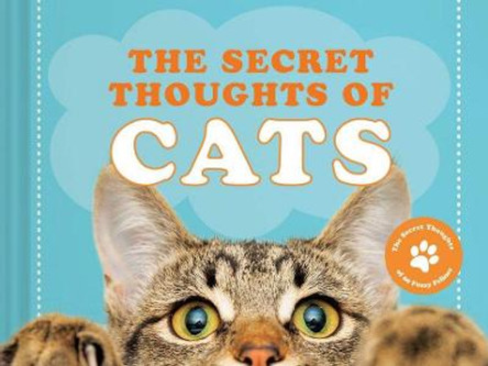 The Secret Thoughts of Cats by CJ Rose