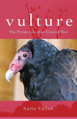 Vulture – The Private Life of an Unloved Bird by Katie Fallon