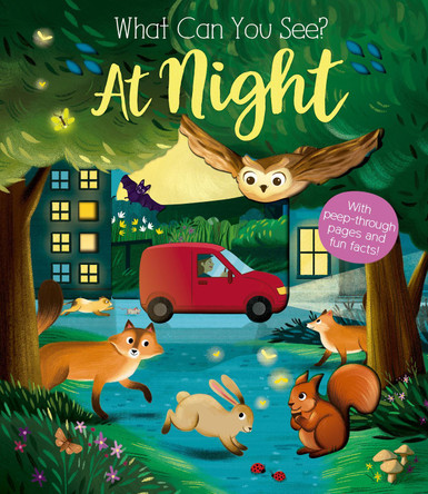 What Can You See At Night? by Kate Ware