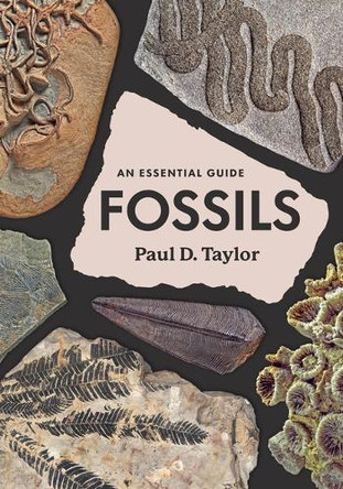 Fossils: An Essential Guide by Paul Taylor 9780226839394