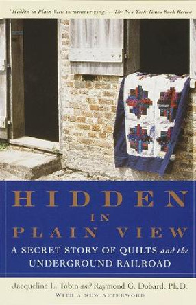 Hidden In Plain View by Raymond G. Dobard