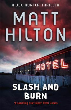 Slash and Burn by Matt Hilton