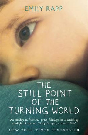 The Still Point of the Turning World by Emily Rapp