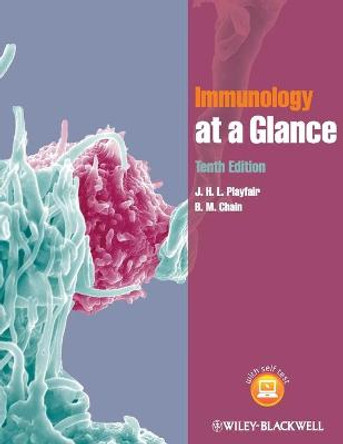 Immunology at a Glance by J. H. L. Playfair