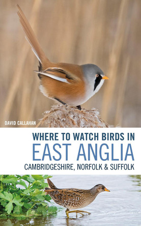 Where to Watch Birds in East Anglia by David Callahan