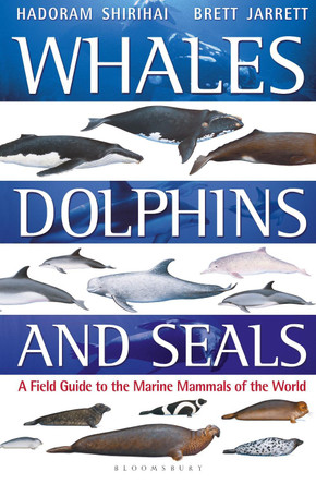 Whales, Dolphins and Seals: A field guide to the marine mammals of the world by Brett Jarrett