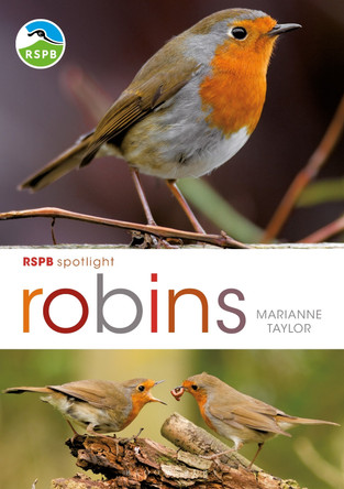 RSPB Spotlight: Robins by Marianne Taylor