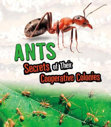 Ants: Secrets of Their Cooperative Colonies by Karen Latchana Kenney