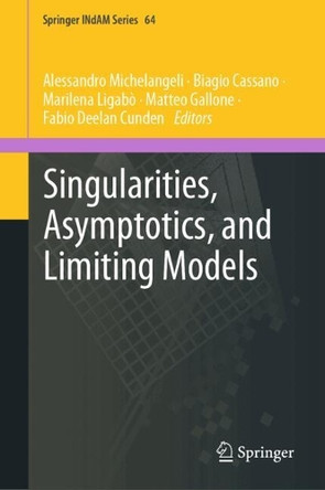 Singularities, Asymptotics, and Limiting Models Biagio Cassano 9789819635832