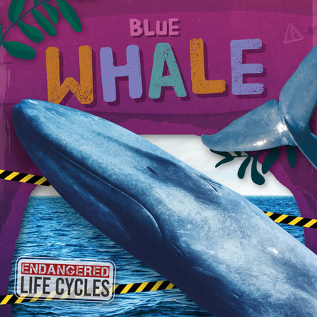 Blue Whale E.C. Andrews 9798893593099