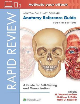 Rapid Review: Anatomy Reference Guide: A Guide for Self-Testing and Memorization by Anatomical Chart Company