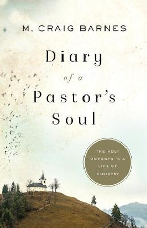 Diary of a Pastor's Soul: The Holy Moments in a Life of Ministry by M. Craig Barnes