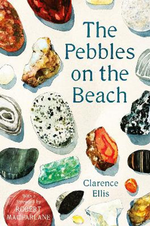 The Pebbles on the Beach by Clarence Ellis