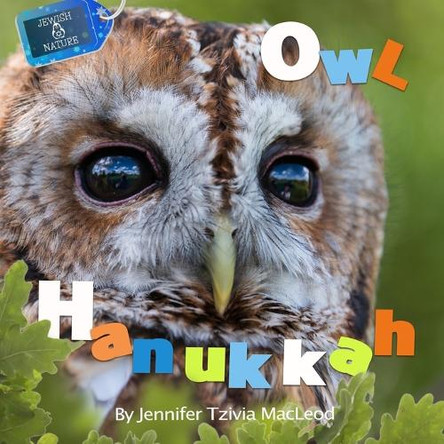 Owl Hanukkah by Jennifer Tzivia MacLeod 9780994068552