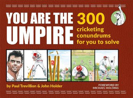 You Are the Umpire by John Holder