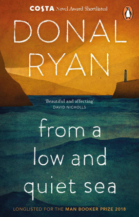 From a Low and Quiet Sea: From the Number 1 bestselling author of STRANGE FLOWERS Donal Ryan 9781784160265