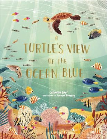 A Turtle's View of the Ocean Blue by Catherine Barr