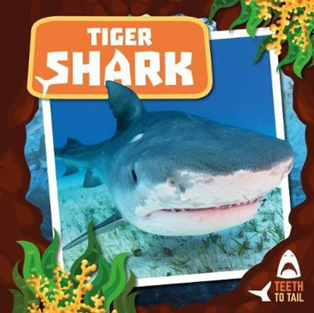 Tiger Shark: Teeth to Tail by Robin Twiddy