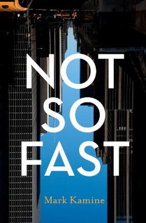 Not So Fast by Mark Kamine