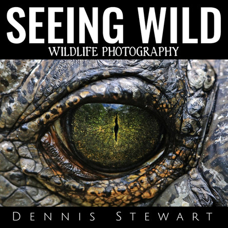 Seeing Wild Dennis John Stewart 9780875659084