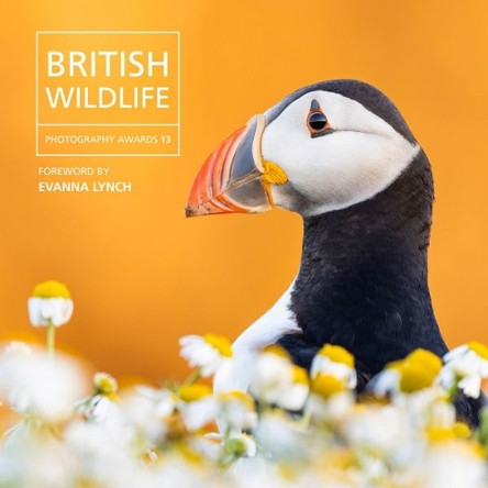 British Wildlife Photography Awards 13 Will Nicholls 9781802589856