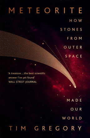 Meteorite: The Stones From Outer Space That Made Our World by Tim Gregory