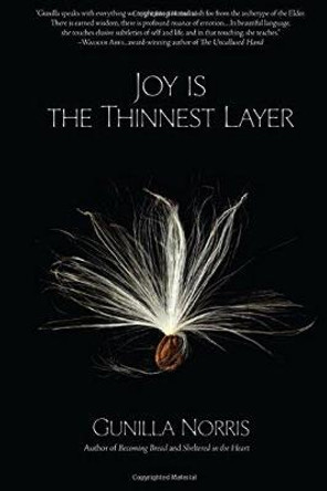 Joy is the Thinnest Layer by Gunilla Norris