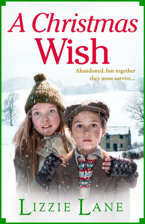 A Christmas Wish by Lizzie Lane 9781804159231