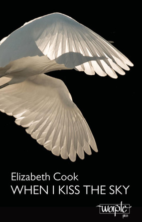 When I Kiss The Sky by Elizabeth Cook 9781905208470