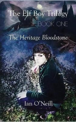 The Elf Boy Trilogy, Book One: The Heritage Bloodstone by Ian O'Neill 9781787197015